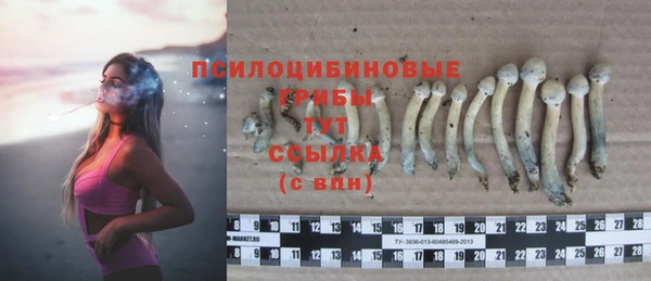 хмурый Белоозёрский