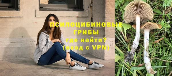 гидропоника Беломорск
