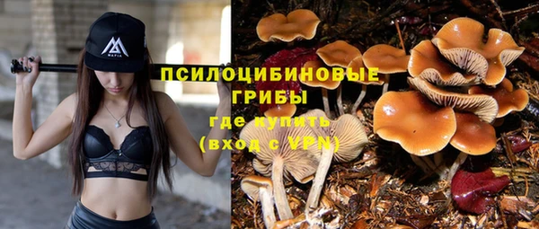 гидропоника Беломорск