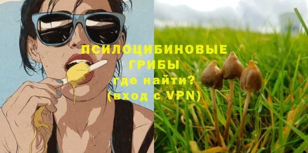 бутират Белокуриха
