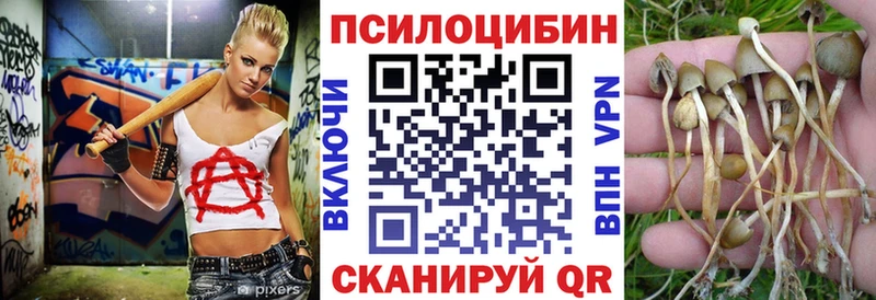 продажа наркотиков Лыткарино Галлюциногенные грибы Psilocybine cubensis
