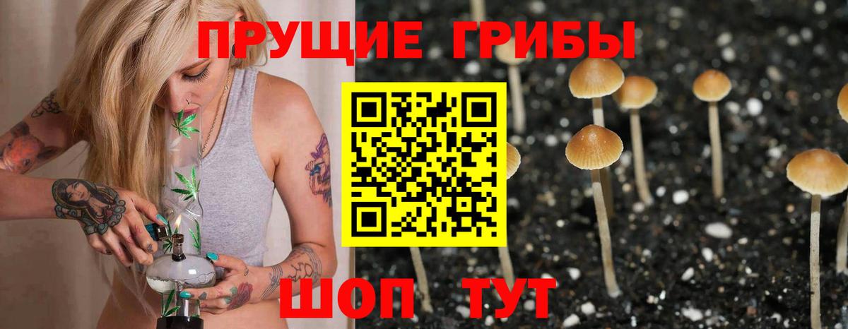Галлюциногенные грибы мицелий  Вход с VPN  Псилоцибиновые грибы GOLDEN TEACHER  Лыткарино 